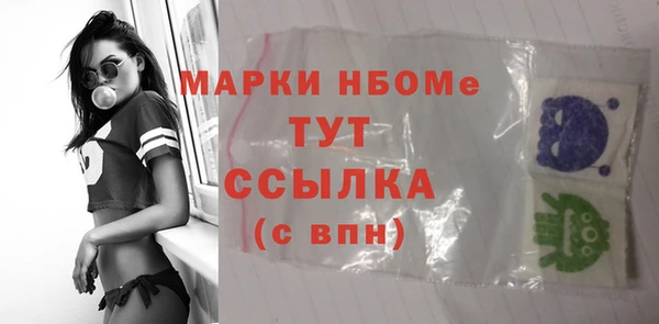 прущие грибы Медвежьегорск