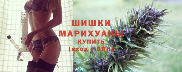 гидропоника Медногорск