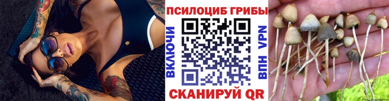 Псилоцибиновые грибы Magic Shrooms Кингисепп