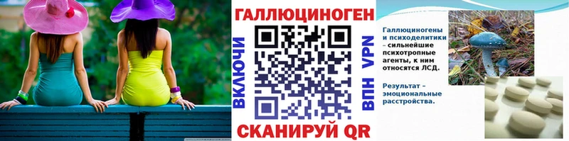 Купить где  Кингисепп  Псилоцибиновые грибы Psilocybine cubensis 